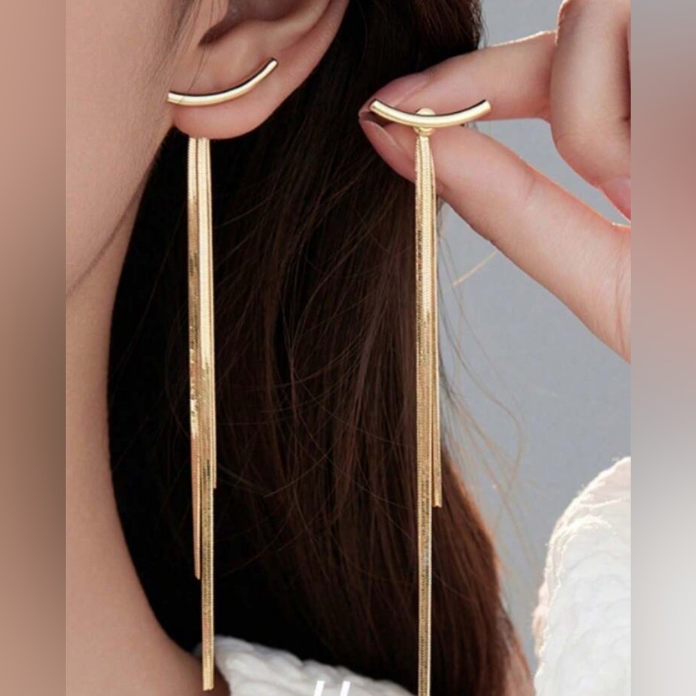 Creative Tassel Earrings With Minimalistic Snake Bone Design For Women